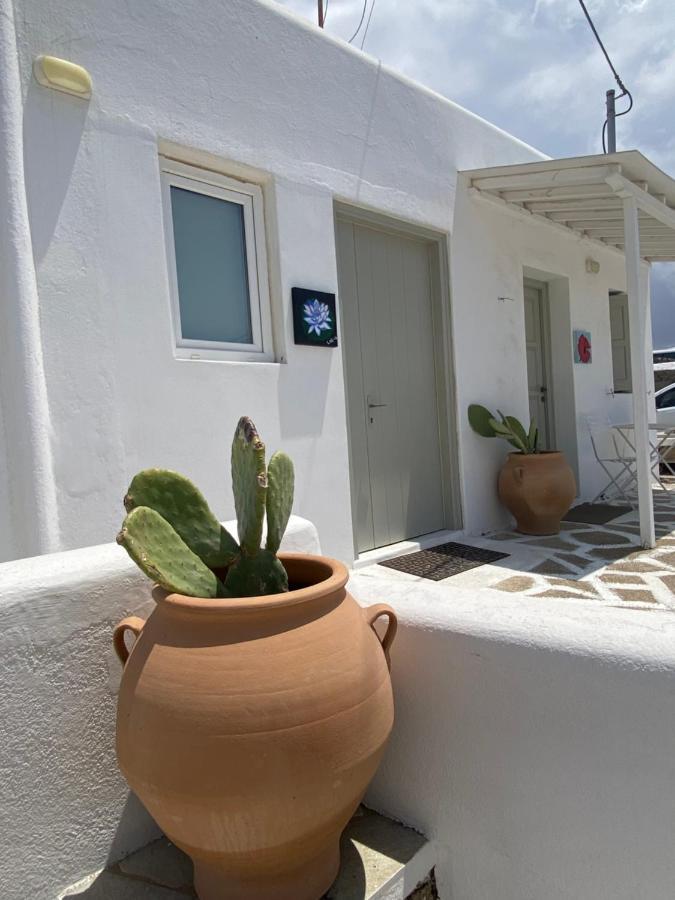 Sing And Blossom Accommodation Mykonos Town Eksteriør billede